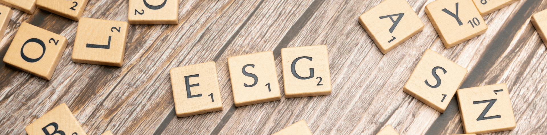 Asset Blog Kinderdepot ESG 1920