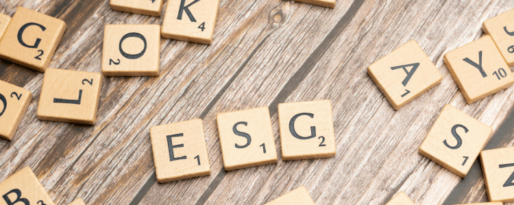 Asset Blog Kinderdepot ESG 750