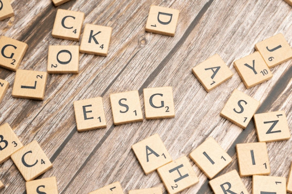 Asset Blog Kinderdepot ESG 600